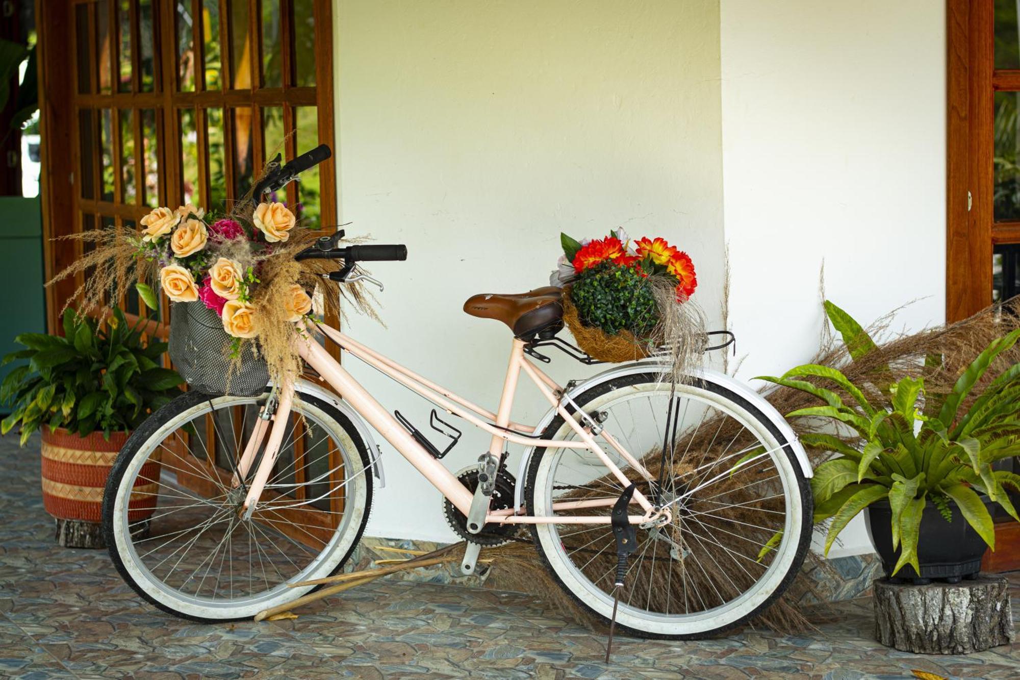 Hotel Campestre La Francesina Betania 외부 사진
